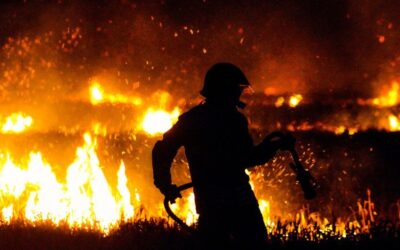 2025 among world’s three hottest years on record,WMO says