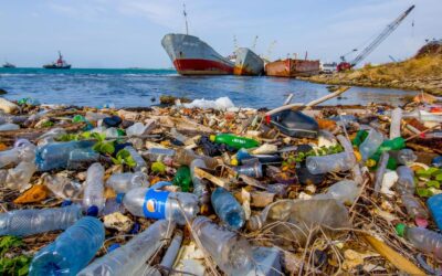 Nations sign up to end global scourge of plastic pollution