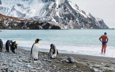 Antarctica ‘should not be taken for granted’ scientists declare, amid extreme weather uptick