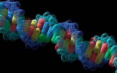 Scientists publish the first complete human genome of world’s 7.9 billion people