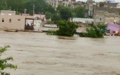 Assam floods: Nearly 4.96 lakh people affected in 22 districts