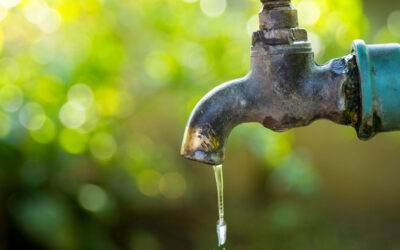 Financial firms face $225 billion in water-related losses, analysis estimates