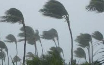 Cyclone Asani: Several flights delayed, cancelled due to bad weather