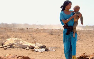 World ‘at a crossroads’ as droughts increase nearly a third in a generation