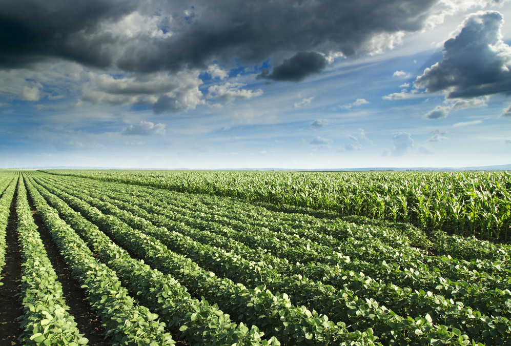 U.S. crop insurers post record-high premium growth on rising commodity prices and innovation