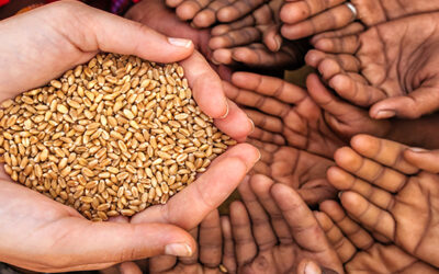 Global food prices in 2022 hit record high amid drought, war