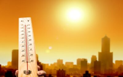 Heat Waves: Global Climate Change Need To Be Addressed