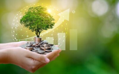 India’s annual green finance is just one-fourth of its needs, finds study