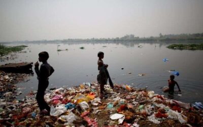 Yamuna pollution: NGT imposes cost of Rs 100 cr on Noida authority, Rs 50 cr on DJB