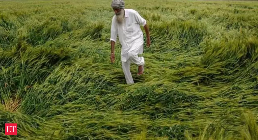 Unseasonal rain, crop losses could keep India’s food inflation high