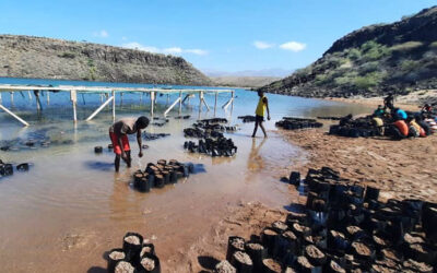 Climate change & Disaster Risk: Investing in Nature-based Solutions