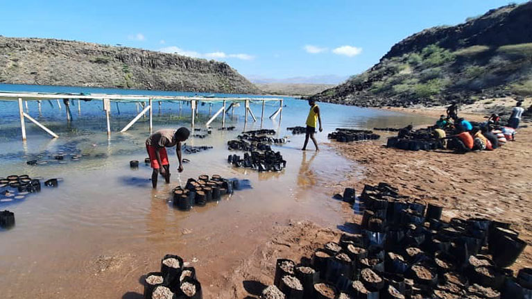 Climate change & Disaster Risk: Investing in Nature-based Solutions