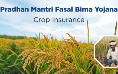 UP govt sets July 31 deadline for kharif crop insurance; farmers must report damage within 72 hours