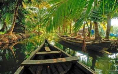 Climate Chnage: When water displaces natives from “sinking island” of Kerala