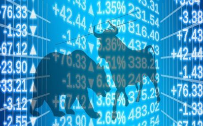 DIIs lend robust support to Indian markets, led by mutual fund assets in 2025