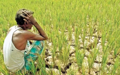 Climate Change: Indian farmers seek to escape debt and suicide