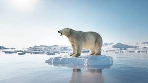 Emerging Risks: From frozen Arctic to hacking AI