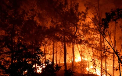 Catastrophe bonds linked to wildfires lose ‘untouchable’ status