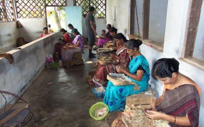 Female labour force participation rate improved to 37 per cent in 2023: WCD
