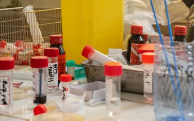 CDSCO mandates safety reporting from new drug launch