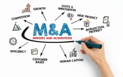 M&A activities: Private Equity dry powder set to stimulate deals in 2024