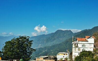 LS polls: Over 60 environmental groups demand ban on mega infrastructure projects in Himalayas