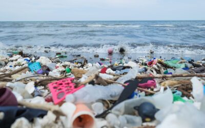 Oil, chemical industry lobbyists flood UN talks on cutting plastic pollution