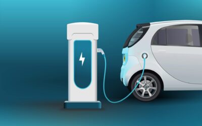 EVs for sustainability: Navigating New Challenges