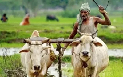 India to see above-normal cumulative rainfall this monsoon, El Nino conditions unlikely, says IMD