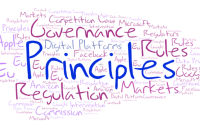 Eco- Survey flags off possible misinterpretation of principles-based regulations by private sector insurers