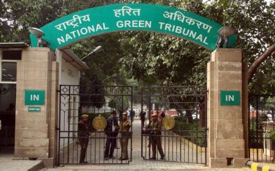 Flouting of rules by pan masala manufacturers: NGT issues notice to Centre