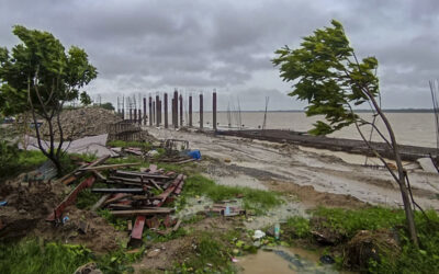 Cyclone Dana: Crops on 1.75L acre in Odisha damaged, another 2.80L acre submerged, says Govt