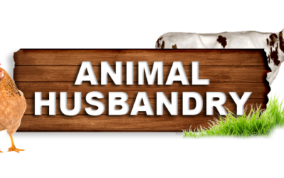 Centre launches 21st Livestock Census at Rs 200 cr cost data to help Govt frame right policies