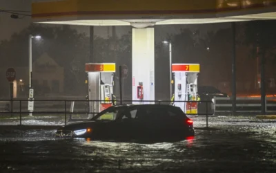 Catastrophe bonds dodge worst-case scenario after Milton
