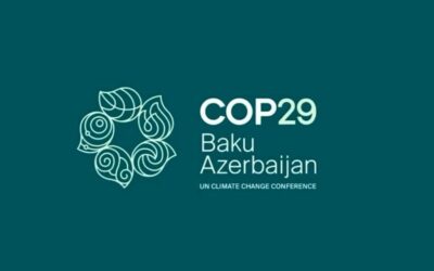 COP29: Baku meet adopts establishment of global carbon market under Paris Agreement’s Article 6