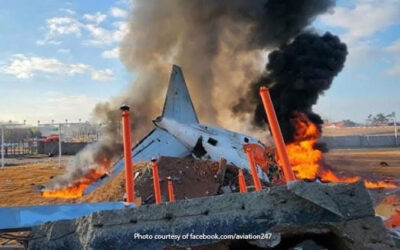 Evidence shows Jeju Air pilots shut off less-damaged engine before crash, source says