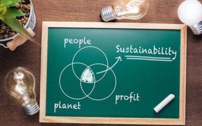 ESG Review-Course-correction underway among financial firms