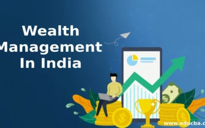 India witnesses surge in millionaires, outpacing Asia Pacific; eyes 55% rise by 2029