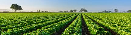 Climate risks cost EU farmers 28 billion euros a year, EU says