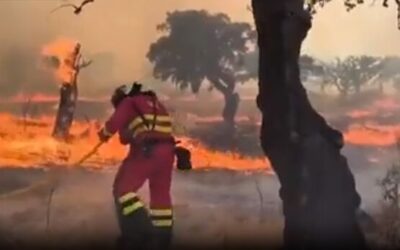 2025-one of 3 hottest years on record