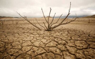 Droughts increasingly occurring in sync across India’s rivers due to climate change: IIT study