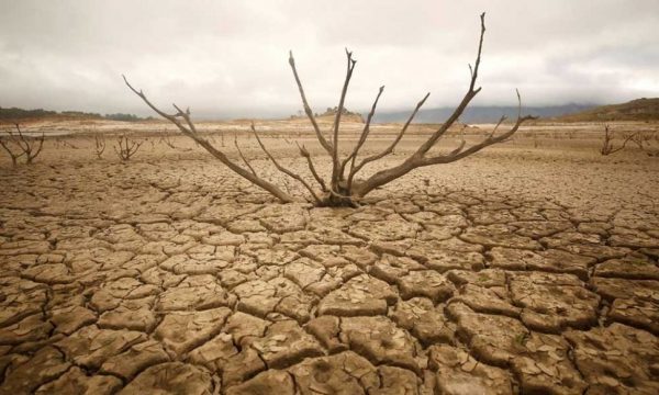 Droughts increasingly occurring in sync across India’s rivers due to climate change: IIT study