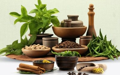 FSSAI launches dedicated licensing window for Ayurveda Aahara products