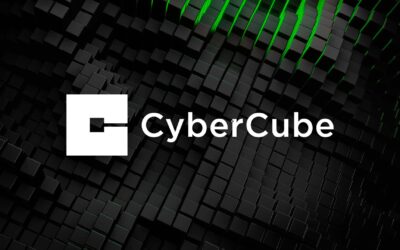 CyberCube raises over $180 million from investor Spectrum Equity