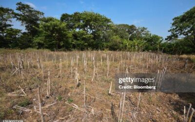 Climate Change: Life-threatening heat domes confound forecasters