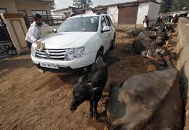 Rural markets lead passenger vehicle sales growth in 2025: FADA