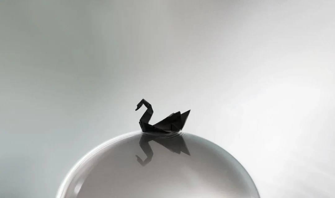 Black Swan scenarios: Crisis of geopolitical instability and interconnected risks