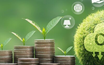 Govt launches carbon market portal,domestic market to start within next 4 months