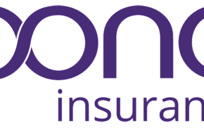 Warburg Pincus considers options for Asian insurer Oona