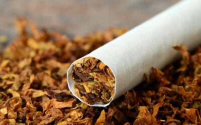 Quitting tobacco could give economic boost to over 20.5 mn households in India: Analysis